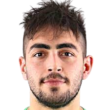 梅莱