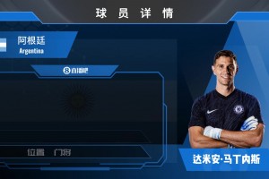 750万镑加盟切尔西！阿根廷一门大马丁个人集锦
